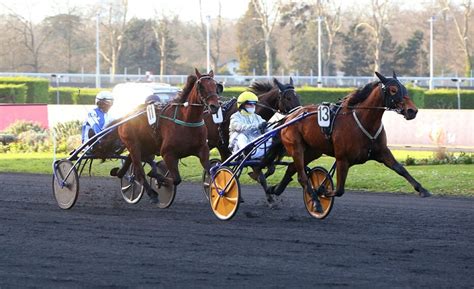 bekirturf|Bekirturf: A Site for Horse Racing Predictions .